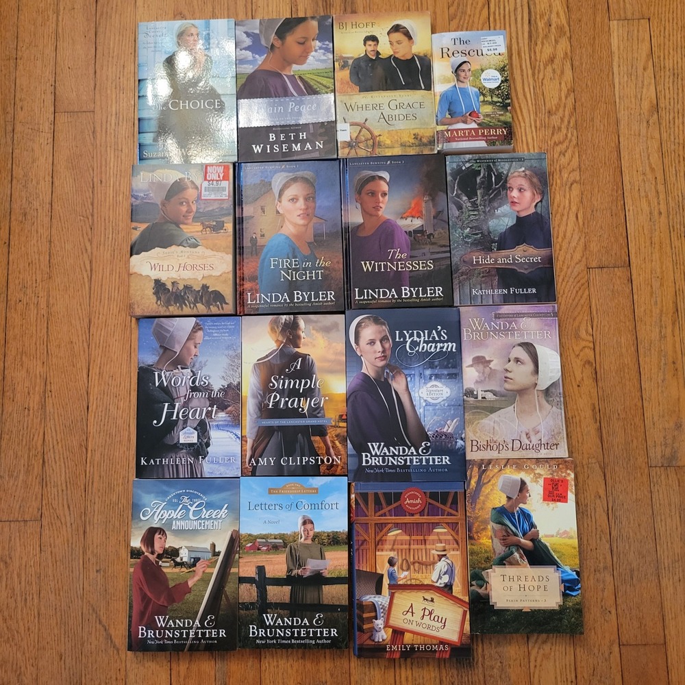 Wanda Brunstetter Linda Byler Fisher‎ 16 Amish Fiction Book Lot Gift Christian